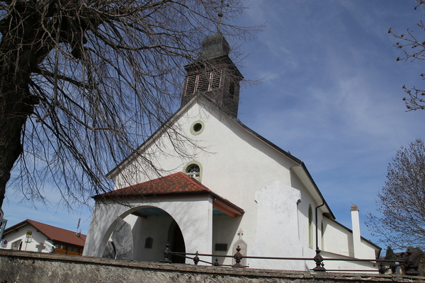 Image - Progens__5_.JPG
