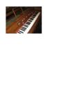 Image - csm_Harmonium_1_01_67db166d73.png