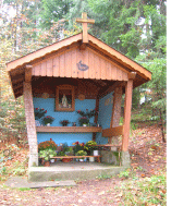 Page image - Notre Dame des Plaines